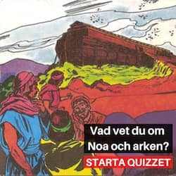 Quiz Noa och arken