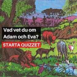 Quiz Skapelsen - Adam och Eva